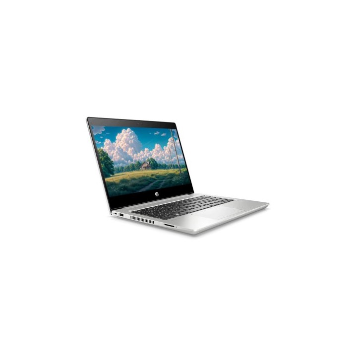HP ProBook 430 G7 Core i5 10210U 1.6 GHz | 13.3" | FHD | 8GB DDR4 | 256GB M.2 | Webcam | Windows 11