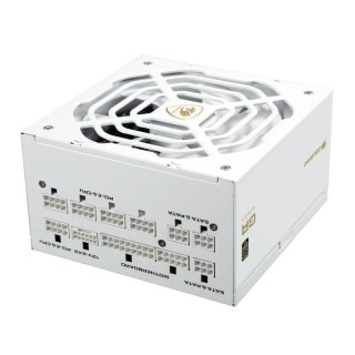 Cougar Fuente Alimentación GR 1000 Snow 80+ Gold