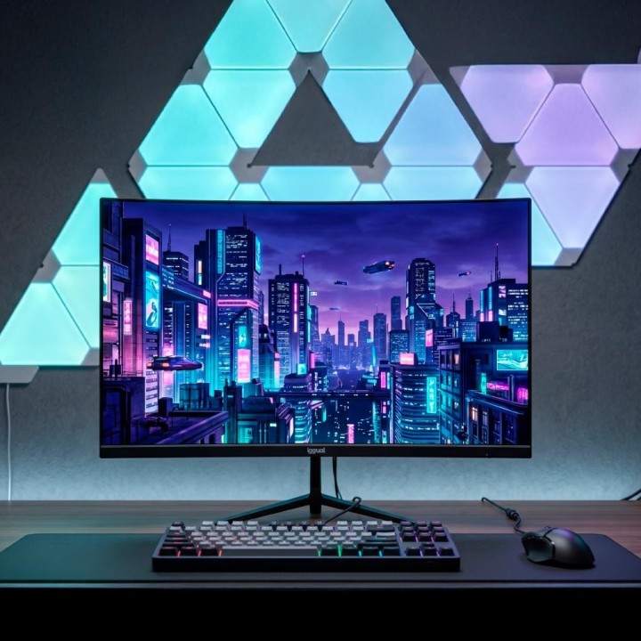 iggual Monitor 24" IPS 1ms FHD 120Hz VGA HDMI MM