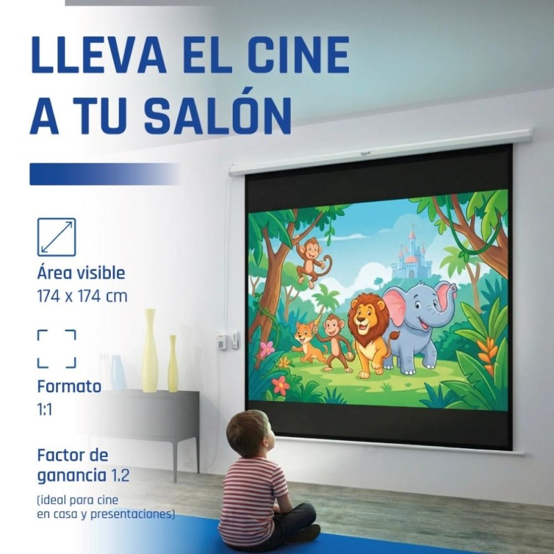 iggual Pantalla eléctrica 1:1 100" 180x180 cm